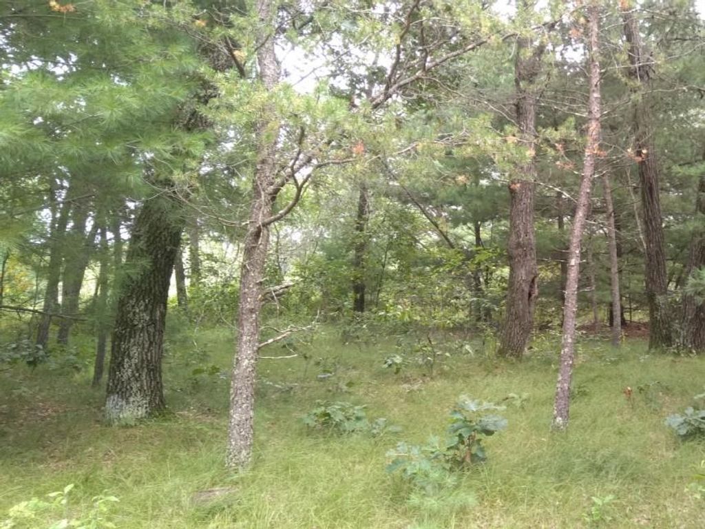 462 Duffers Trail, Nekoosa, WI 54457