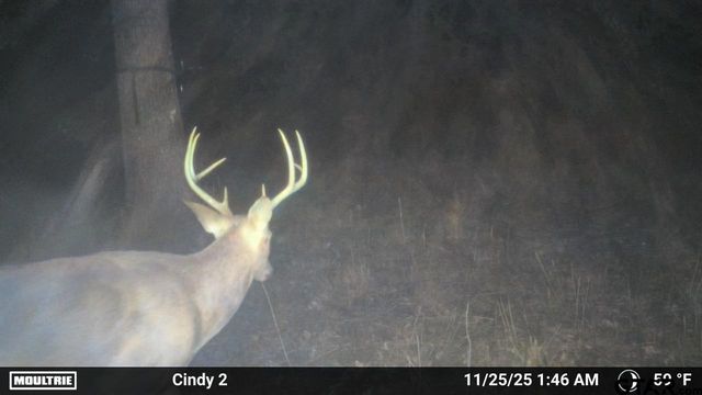 21393 CR 116, Tyler, TX 75703