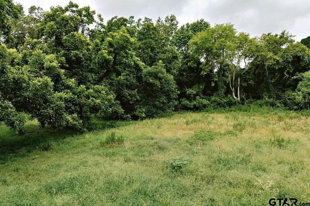 21393 CR 116, Tyler, TX 75703