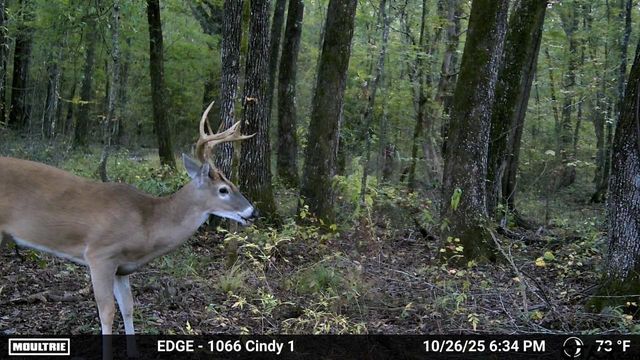 21393 CR 116, Tyler, TX 75703