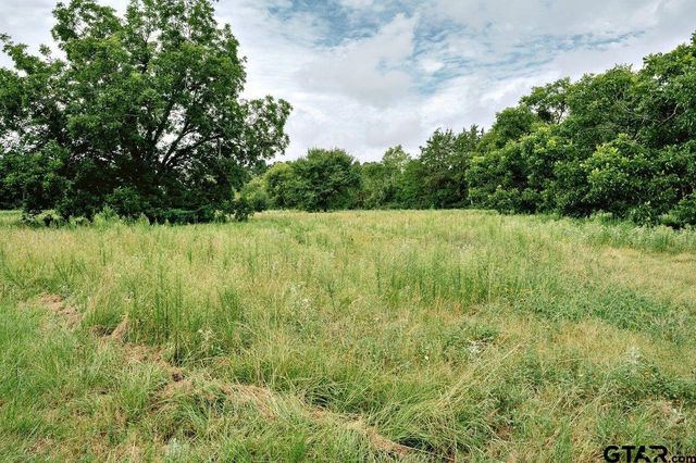 21393 CR 116, Tyler, TX 75703