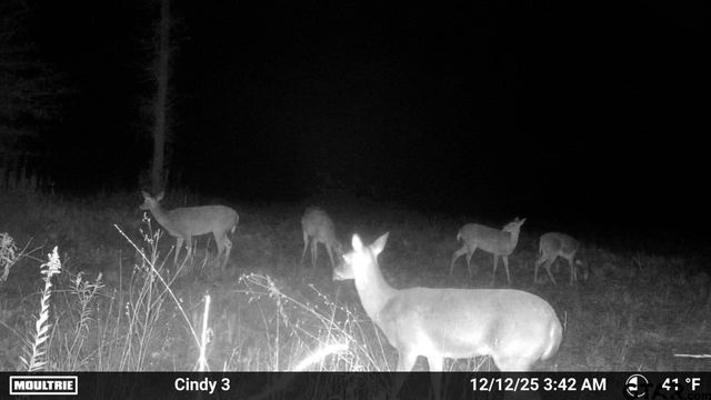 21393 CR 116, Tyler, TX 75703