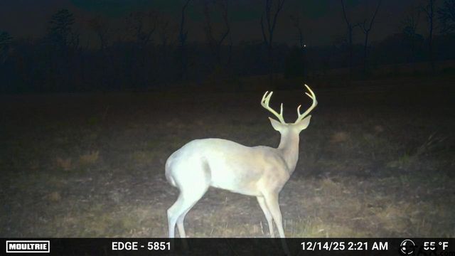 21393 CR 116, Tyler, TX 75703