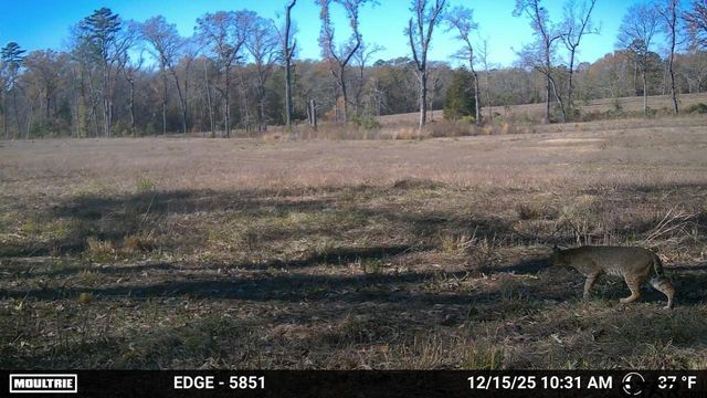 21393 CR 116, Tyler, TX 75703