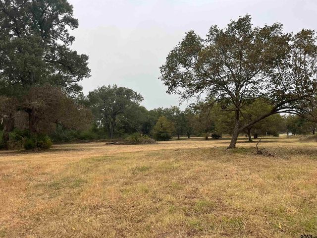 21393 CR 116, Tyler, TX 75703