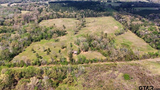 21393 CR 116, Tyler, TX 75703