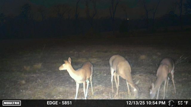 21393 CR 116, Tyler, TX 75703
