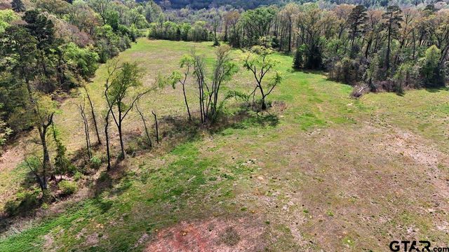21393 CR 116, Tyler, TX 75703