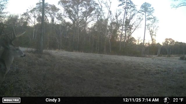 21393 CR 116, Tyler, TX 75703