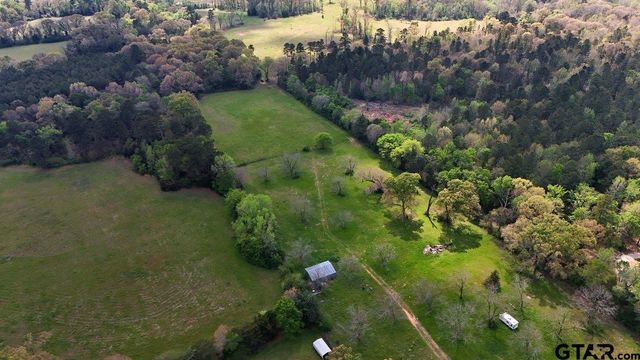 21393 CR 116, Tyler, TX 75703