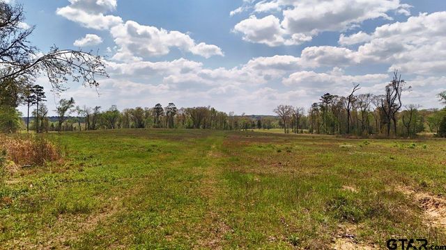 21393 CR 116, Tyler, TX 75703