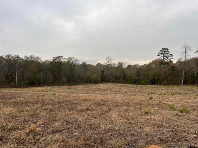 21393 CR 116, Tyler, TX 75703