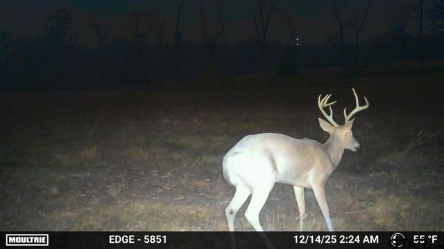21393 CR 116, Tyler, TX 75703