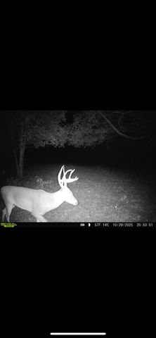 21393 CR 116, Tyler, TX 75703