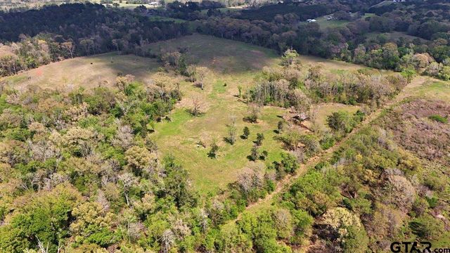 21393 CR 116, Tyler, TX 75703