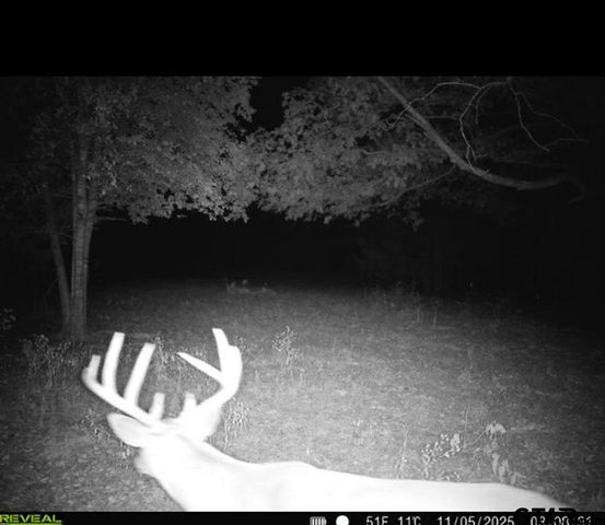21393 CR 116, Tyler, TX 75703