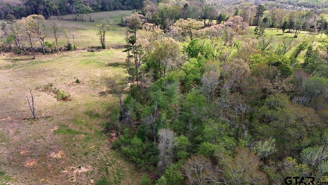 21393 CR 116, Tyler, TX 75703