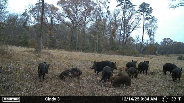 21393 CR 116, Tyler, TX 75703