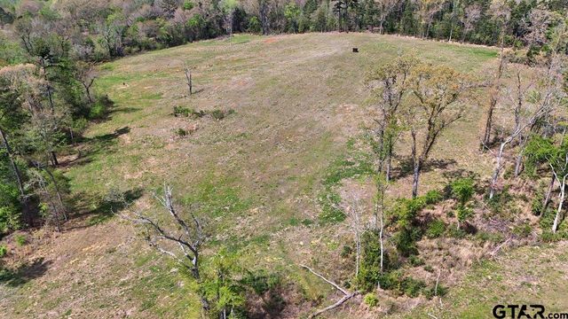 21393 CR 116, Tyler, TX 75703