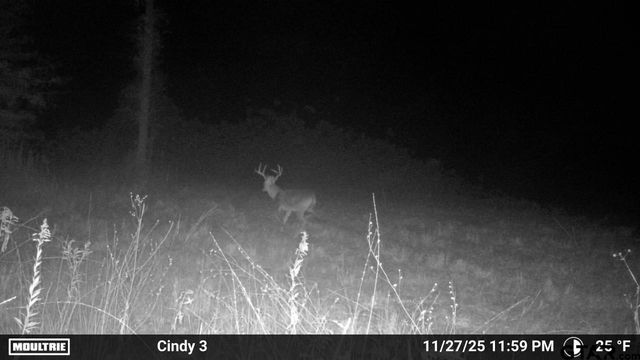 21393 CR 116, Tyler, TX 75703