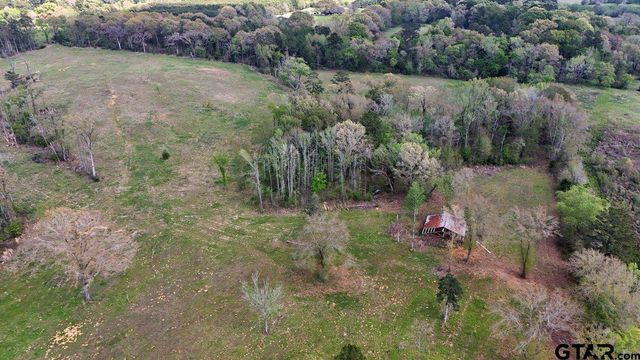 21393 CR 116, Tyler, TX 75703
