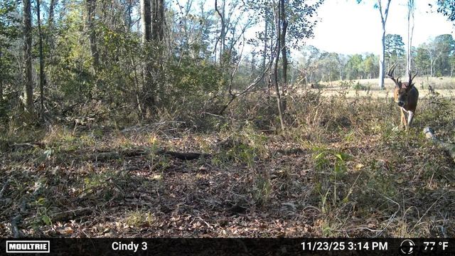 21393 CR 116, Tyler, TX 75703