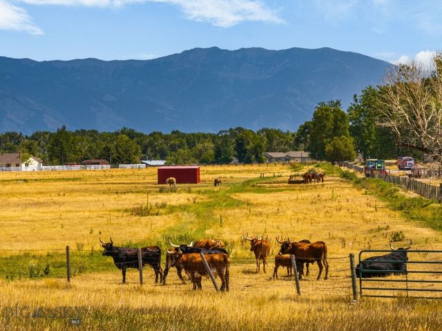 3455 Linney, Bozeman, MT 59718