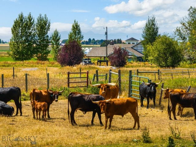 3455 Linney, Bozeman, MT 59718