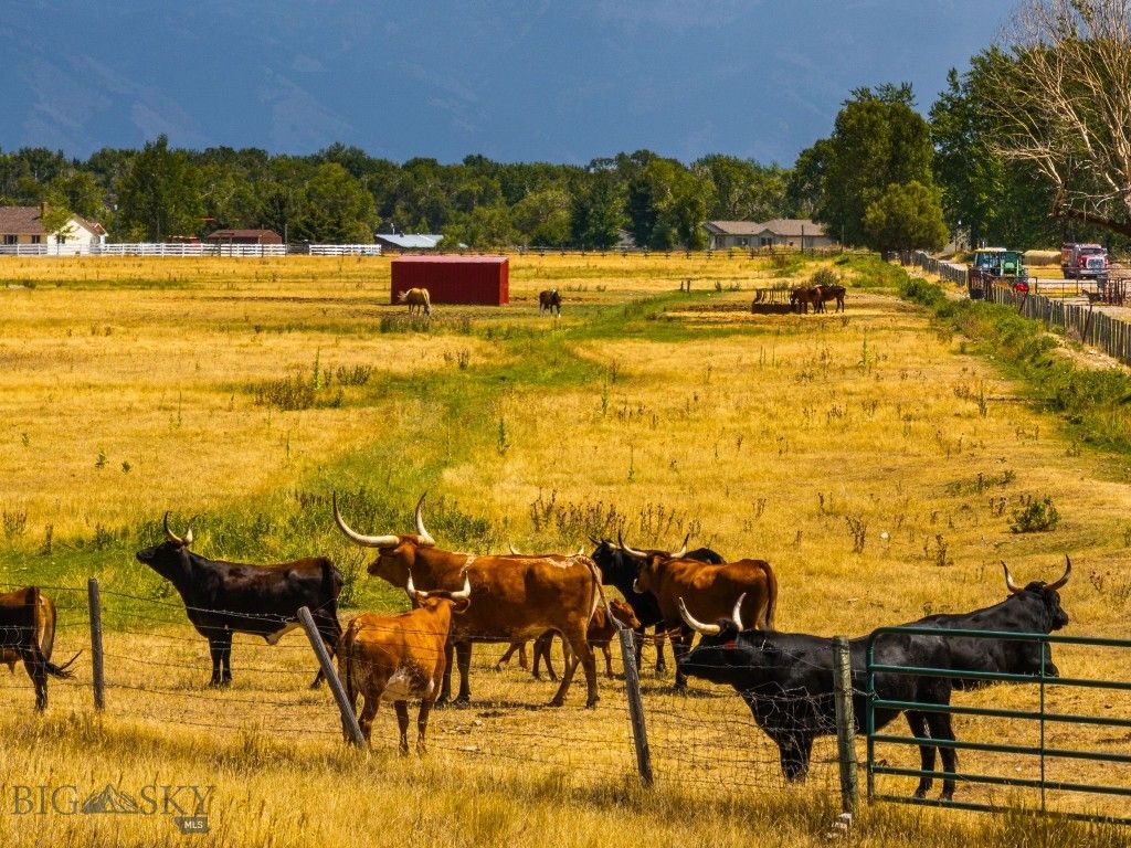 3455 Linney, Bozeman, MT 59718 photo 16