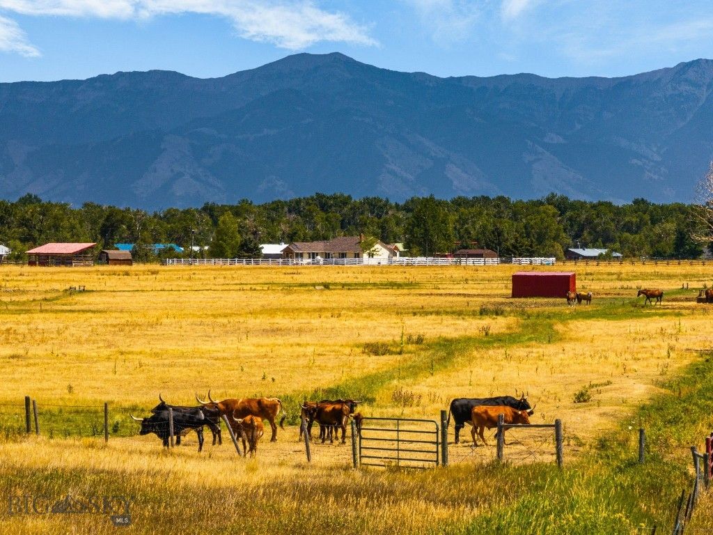 3455 Linney, Bozeman, MT 59718 photo 3