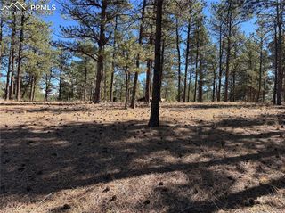 382 Blue Mountain Drive, Florissant, CO 80816