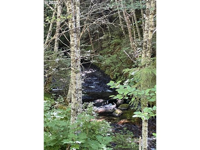 Forest Road 4610, Estacada, OR 97023