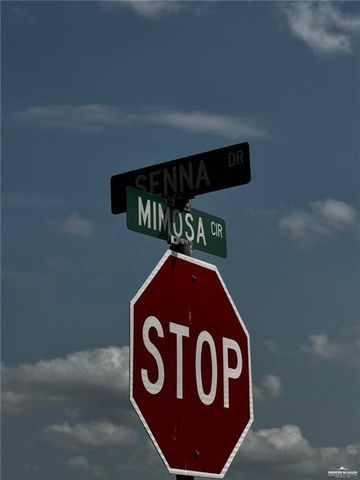 000 Senna Drive, Rio Grande City, TX 78582