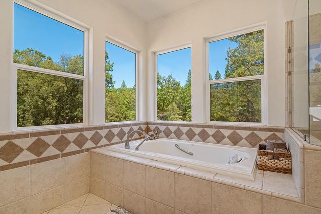 20758 S Manzanita Hills Rd, Colfax, CA 95713