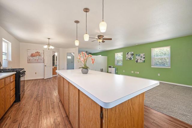 20758 S Manzanita Hills Rd, Colfax, CA 95713