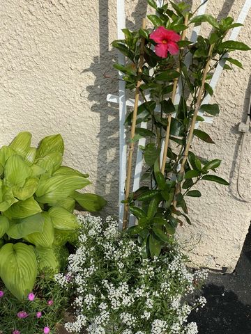 549 West Street, Keene, NH 03431