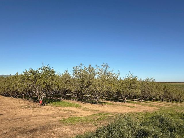 4060 Orestimba Rd, Newman, CA 95360