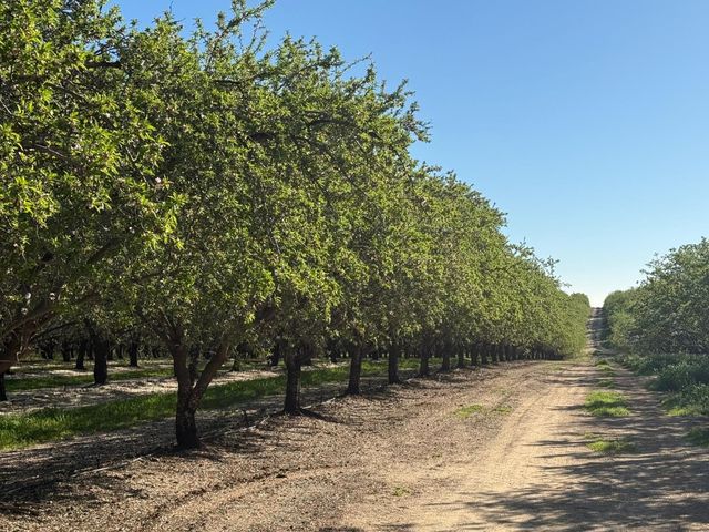 4060 Orestimba Rd, Newman, CA 95360