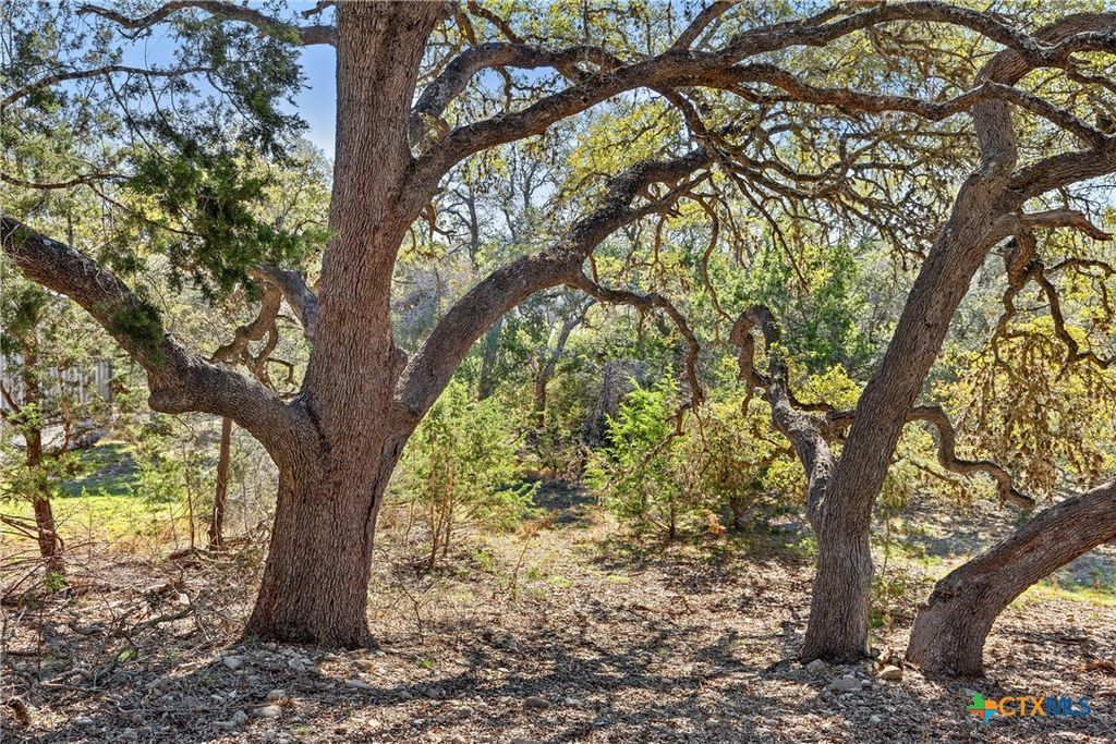 111 La Luna Drive, Blanco, TX 78606