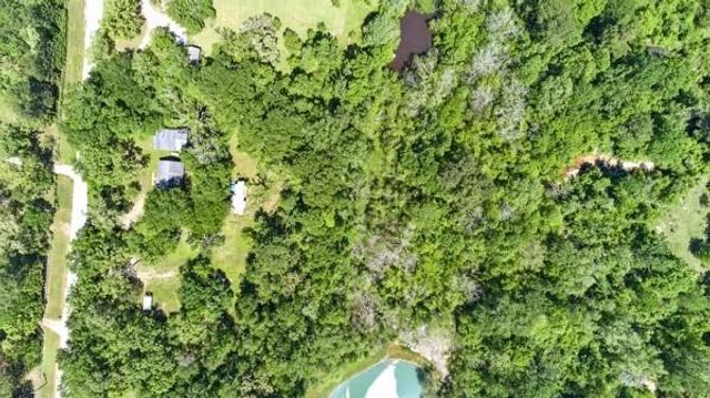 17027 Red Oak Drive, Plantersville, TX 77363