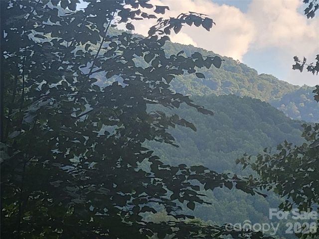 67 Mistletoe Ridge, Waynesville, NC 28786