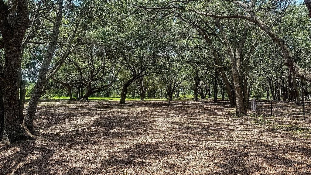 Image 25 of property listing at 7408 SANDSTONE DRIVE, Groveland, FL 34736