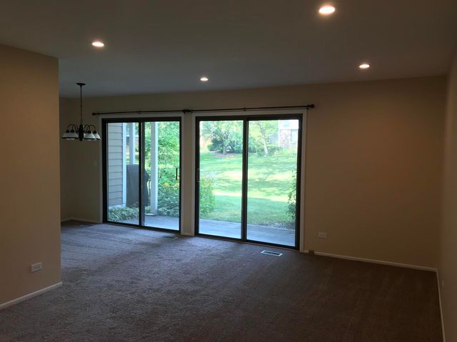 232 Driftwood Lane C1, Schaumburg, IL 60193
