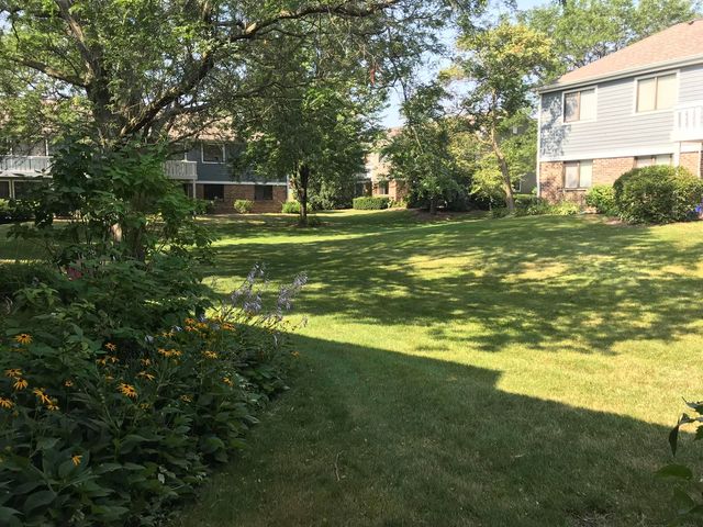 232 Driftwood Lane C1, Schaumburg, IL 60193