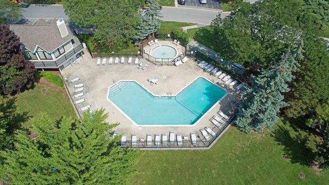 232 Driftwood Lane C1, Schaumburg, IL 60193