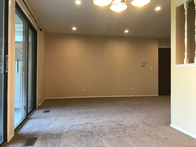 232 Driftwood Lane C1, Schaumburg, IL 60193