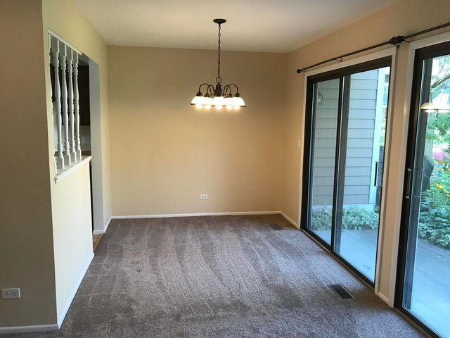 232 Driftwood Lane C1, Schaumburg, IL 60193