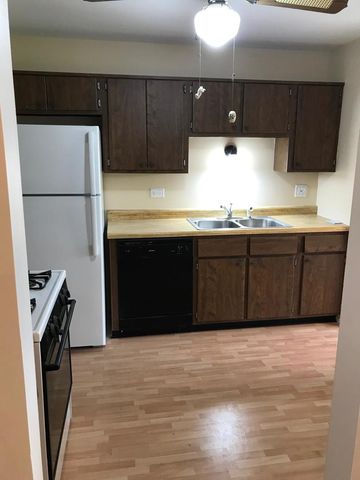 232 Driftwood Lane C1, Schaumburg, IL 60193