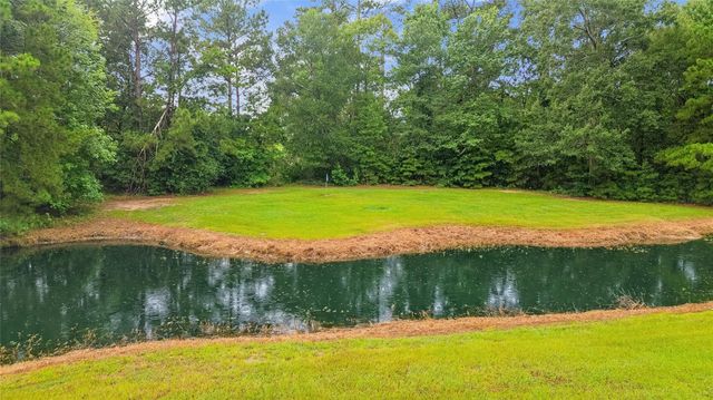 203 Mapleleaf Street, Magnolia, TX 77354