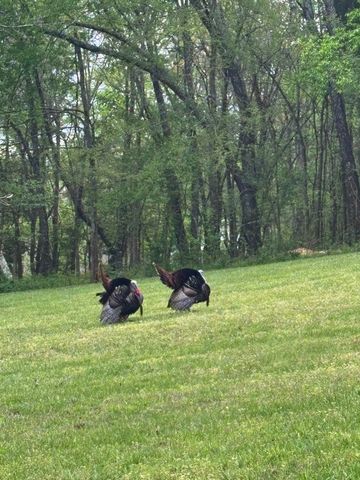 1229 Hogans Branch Rd, Hendersonville, TN 37075